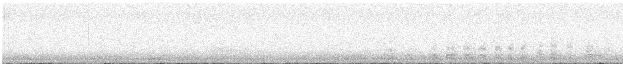 Cormorán Grande - ML646599167