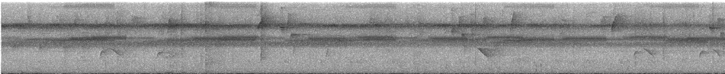 White-throated Pewee - ML646599378