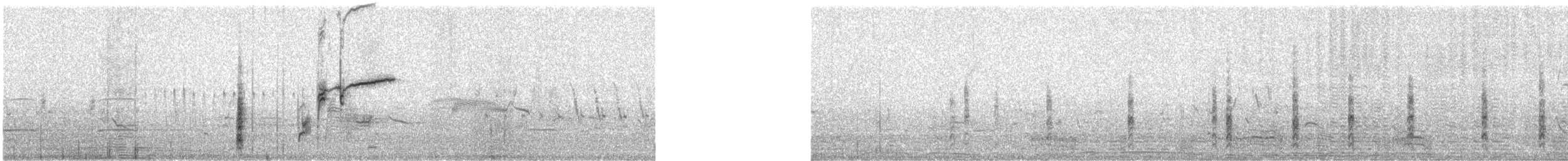 Brewer's Blackbird - ML646599438