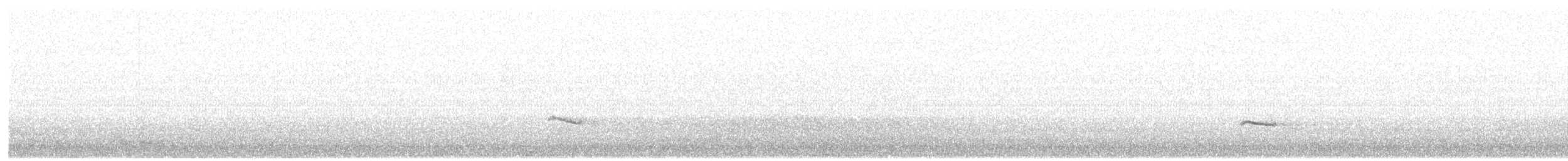 Сивка звичайна - ML646599499