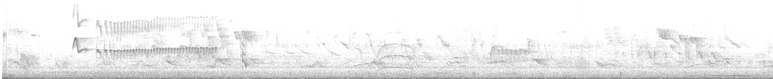 Straneck's Tyrannulet - ML646599506