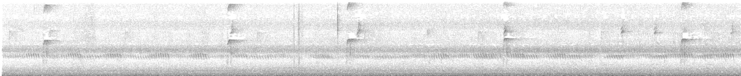 Hairy Woodpecker - ML646599772