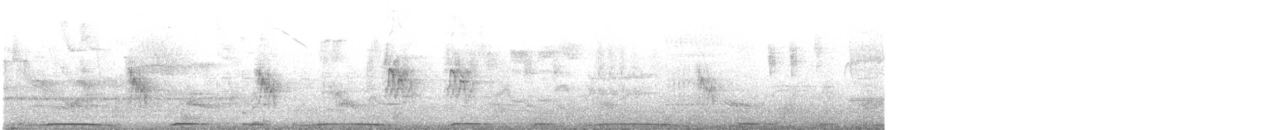 Picazuro Pigeon - ML646599940