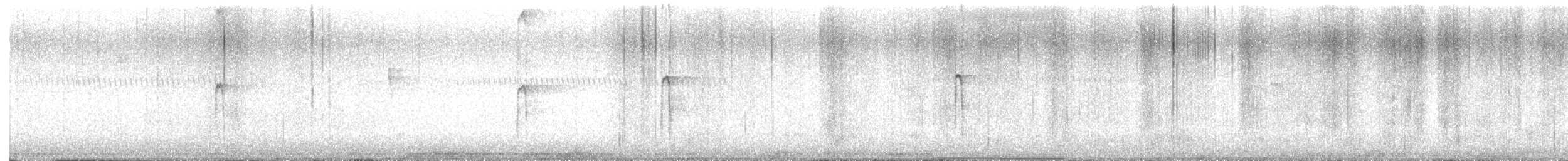 Sert Tüylü Ağaçkakan - ML646599958