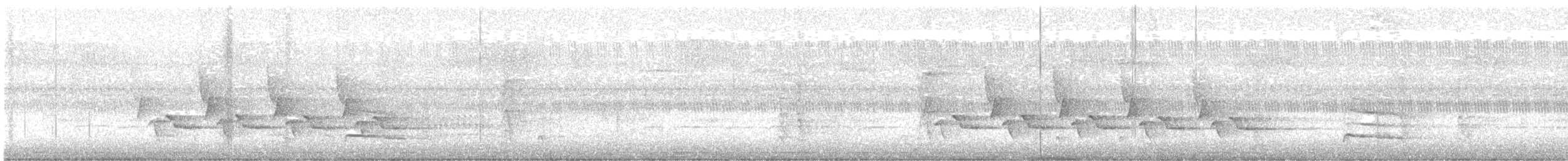 Carolina Wren - ML646600007