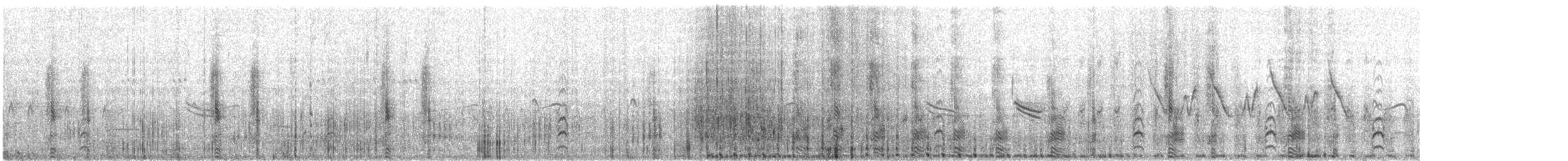 Northern Shoveler - ML646600163