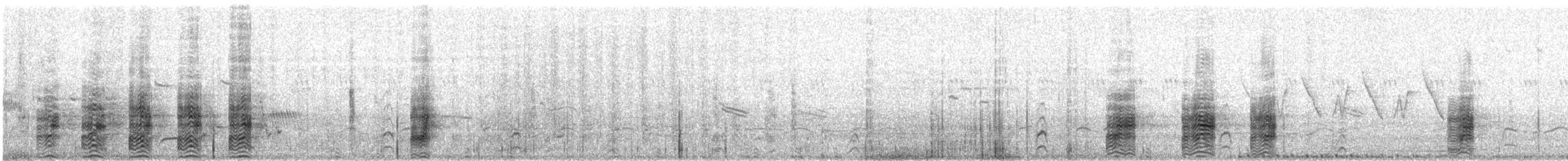 White-faced Ibis - ML646600172