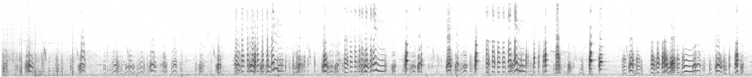 Black-necked Stilt - ML646600178