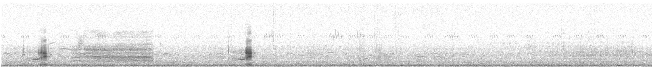 Gadwall - ML646600191