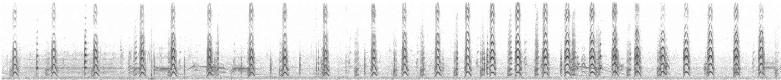 Black-necked Stilt - ML646600205