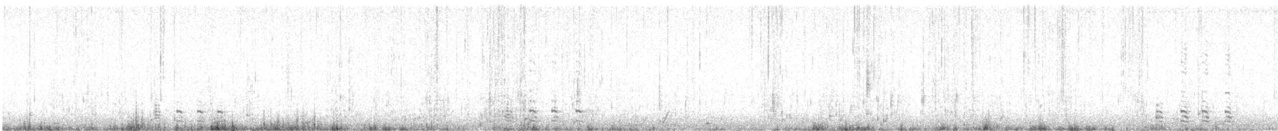 American Herring Gull - ML646600684