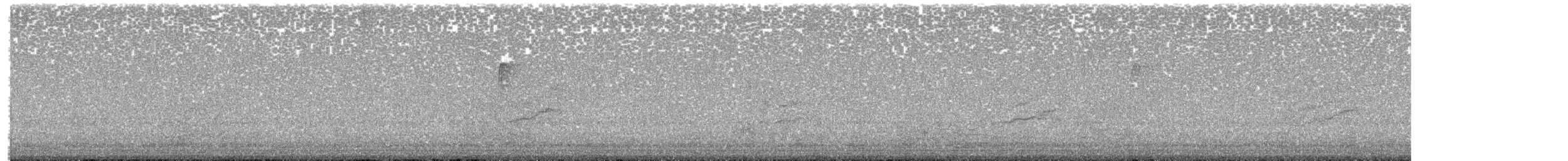 Redpoll - ML646600712