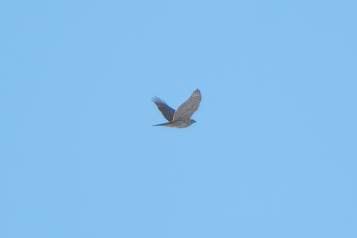 Autour d'Amérique - ML646600778