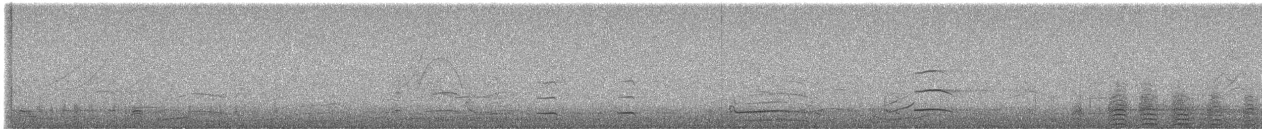 アメリカオシ - ML646600947