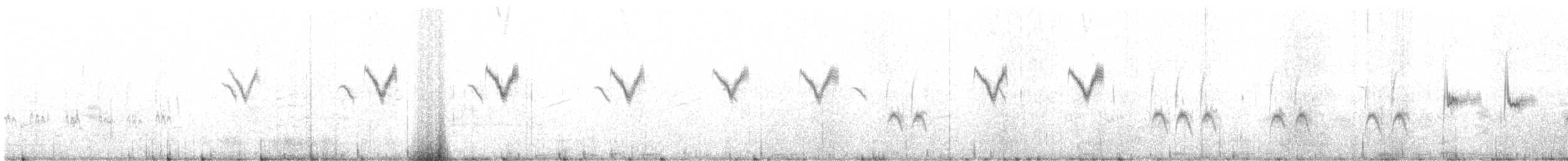 Сондорт гургалдай - ML646600974