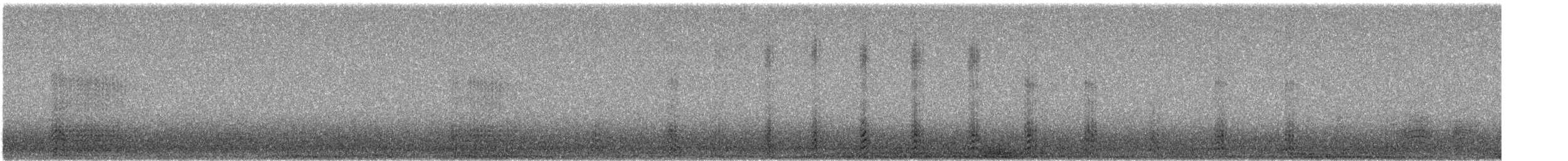 クビワキンクロ - ML646601309