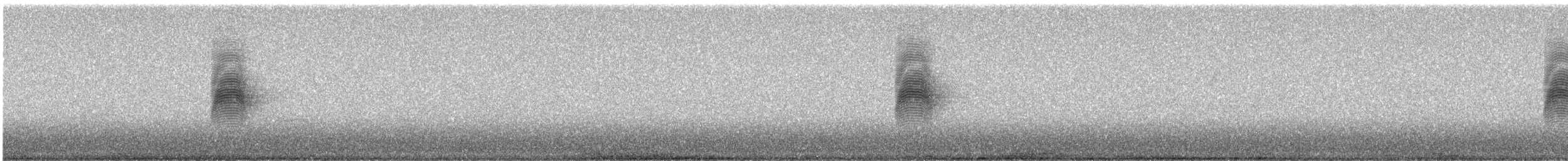 アメリカヤマシギ - ML646601375