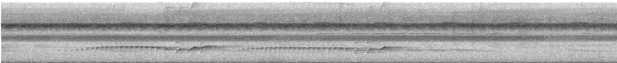 Black-tailed Leaftosser - ML646601535