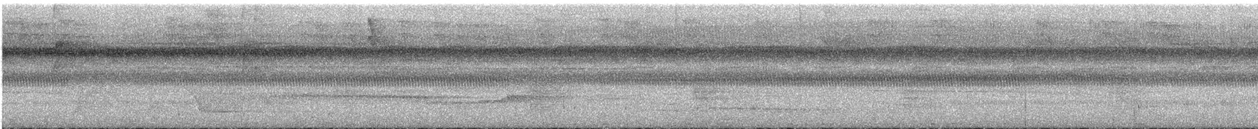 Black-tailed Leaftosser - ML646601536