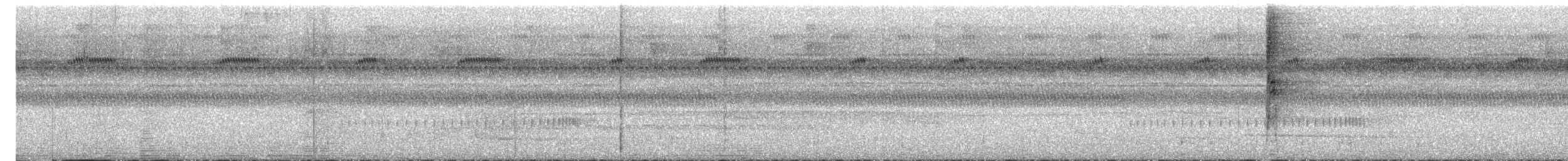 Black-tailed Leaftosser - ML646601537