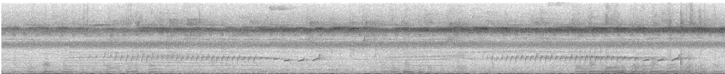 Black-tailed Leaftosser - ML646601538