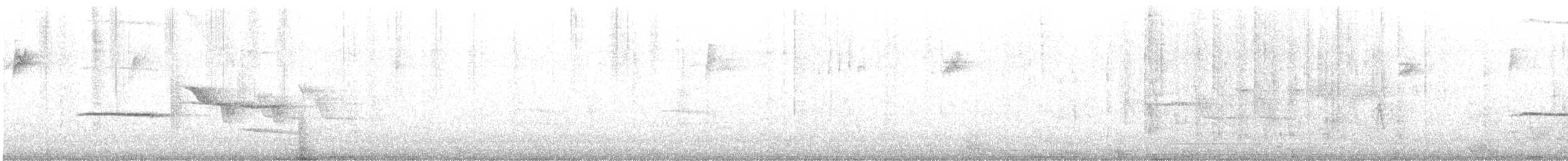 White-crowned Sparrow - ML646601740