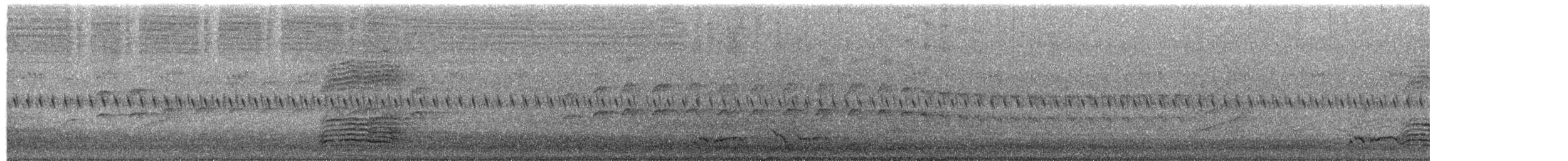 Collared Sparrowhawk - ML646602007