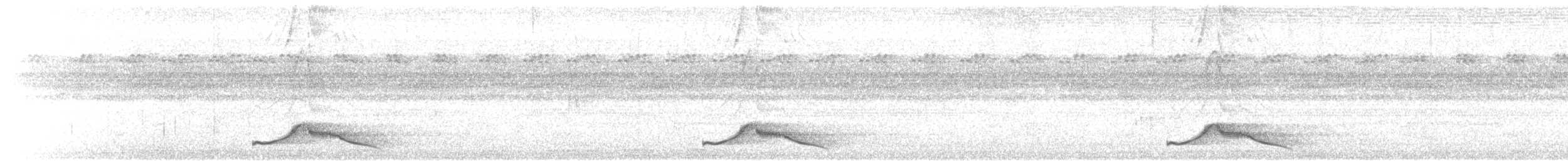 Common Pauraque - ML646602858