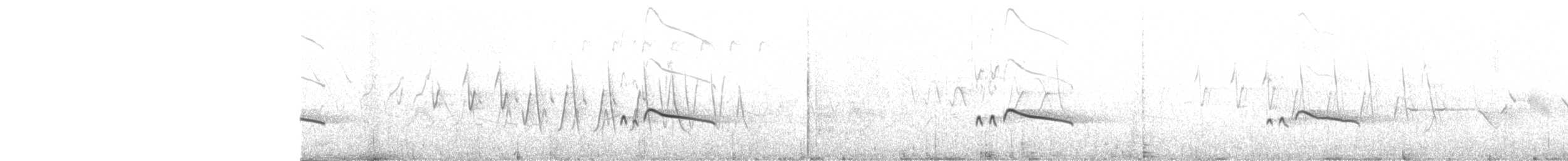 Say's Phoebe - ML646603206