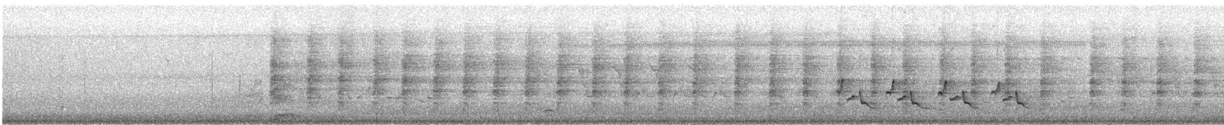 Карибский пастушок (crepitans/waynei) - ML646604099