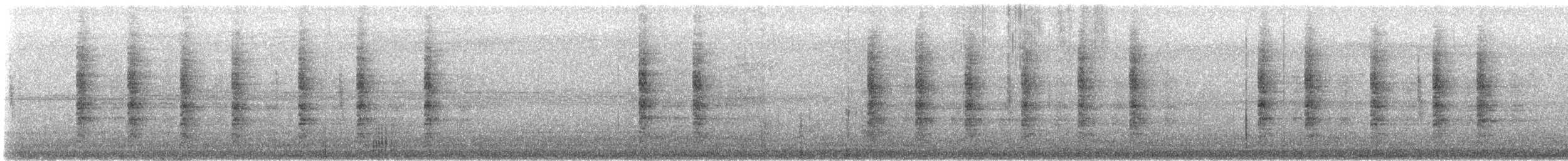 Карибский пастушок (crepitans/waynei) - ML646604111