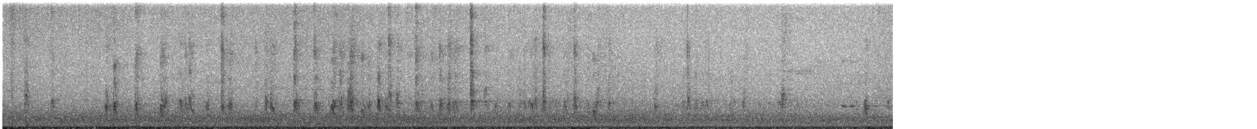 Большехвостый гракл - ML646605331