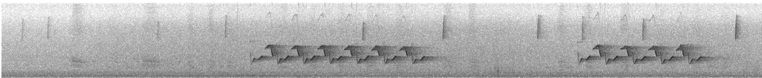 střízlík karolínský - ML646605509