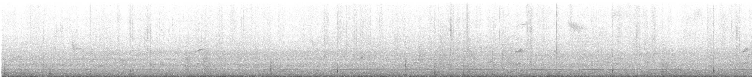 chřástal karolínský - ML646605590