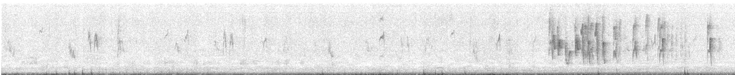 cetie jižní - ML646605753