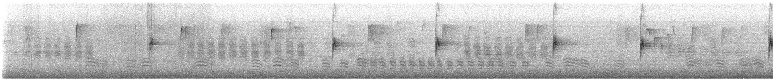 brhlík běloprsý (ssp. carolinensis) - ML646606114