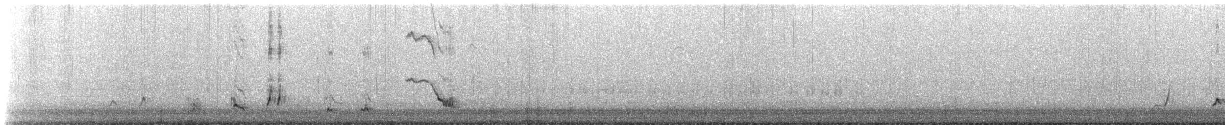 Curve-billed Thrasher (palmeri Group) - ML646607082