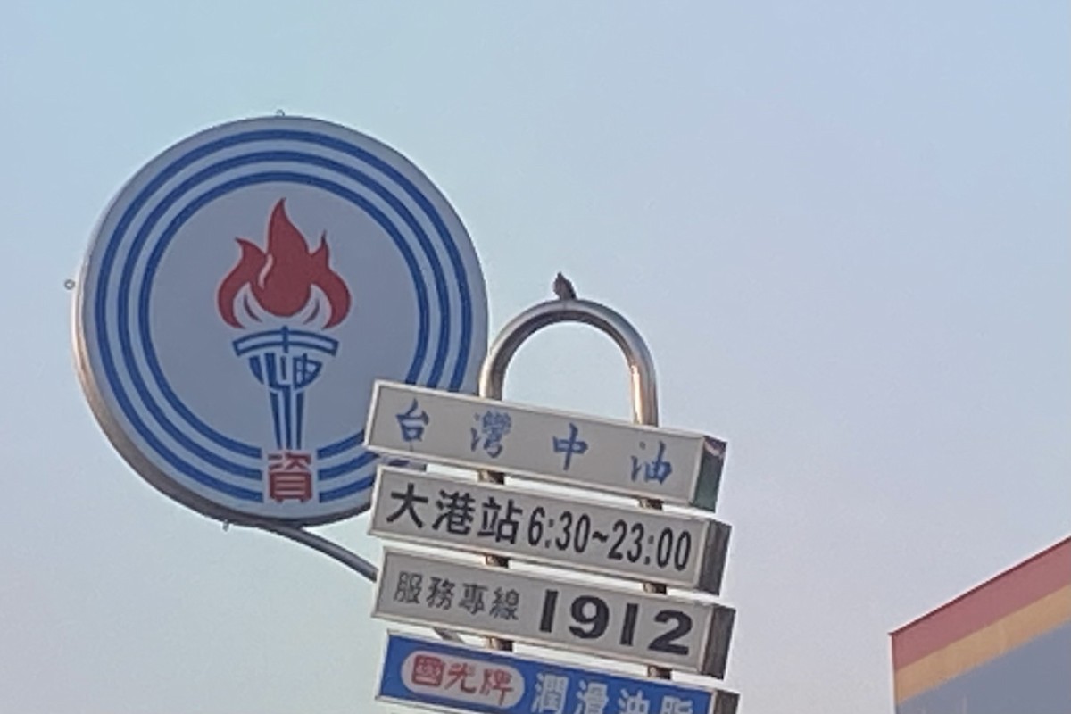 Короткохвостая горлица - ML646607251