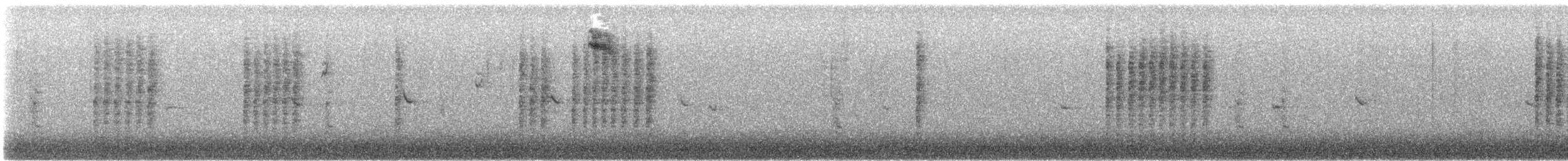 ハシナガヌマミソサザイ - ML646607359