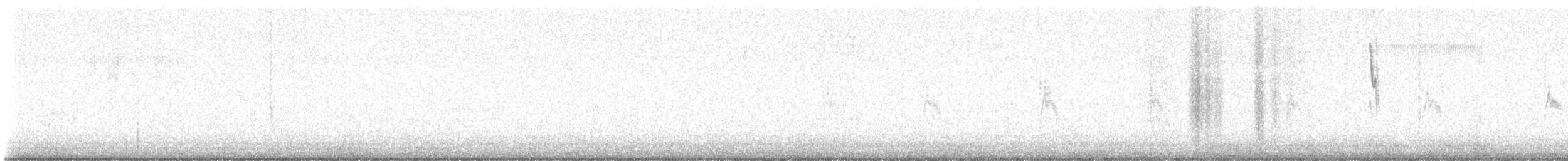 Richard's Pipit - ML646607613