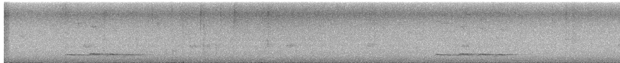 Coquerel's Coua - ML646607629