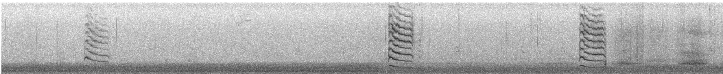 Red-naped Sapsucker - ML646607986