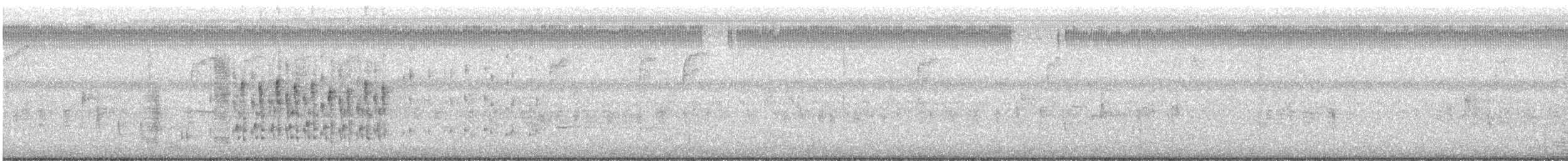 Marsh Wren - ML646608076