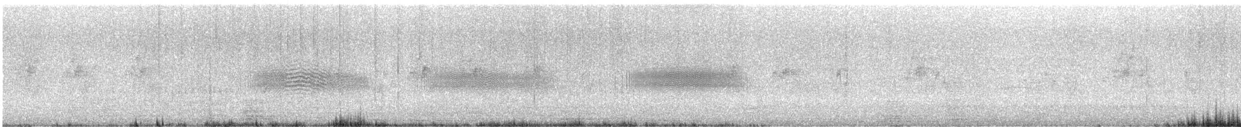 White-tipped Plantcutter - ML646608179