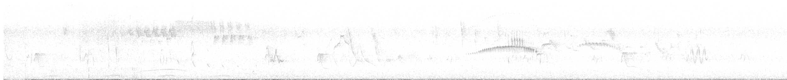 Plain Tyrannulet - ML646608187