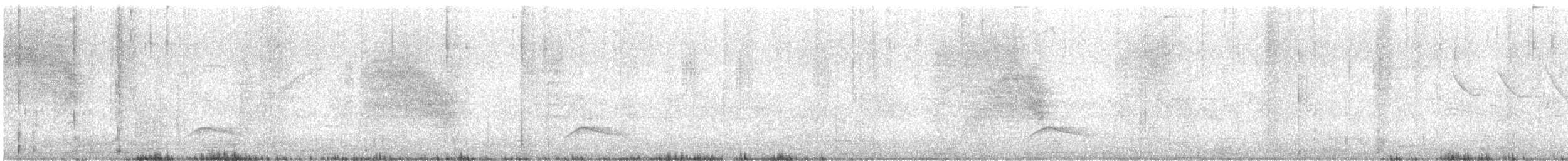 Large Elaenia - ML646608227