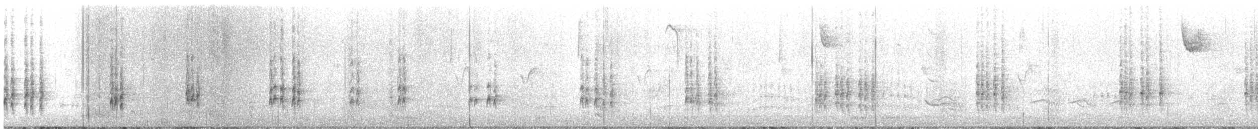 Carolina Wren - ML646608235