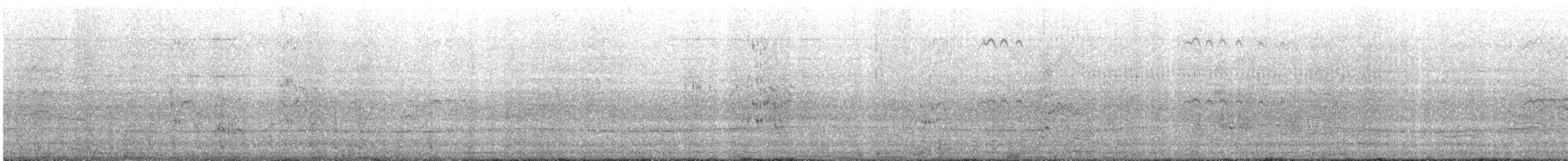 Royal Tern - ML646608486