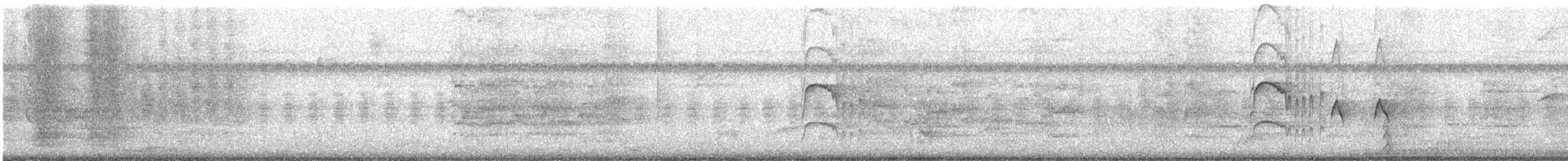 White-ringed Flycatcher - ML646608789