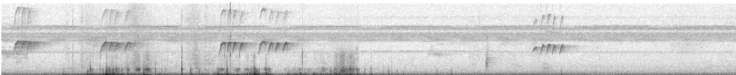 Tropical Kingbird - ML646608826